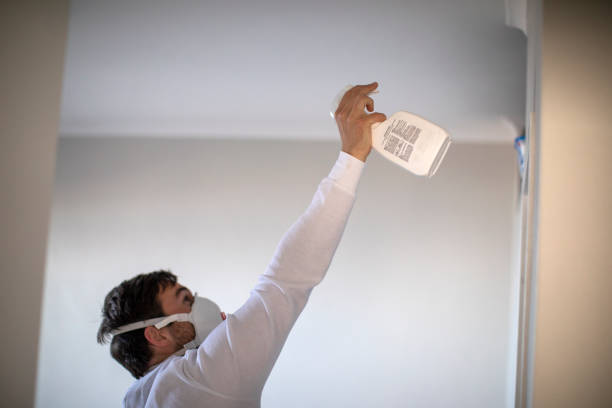 Best Industrial Mold Remediation in St Gabriel, LA