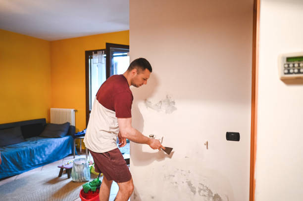 Best Residential Mold Remediation in St Gabriel, LA